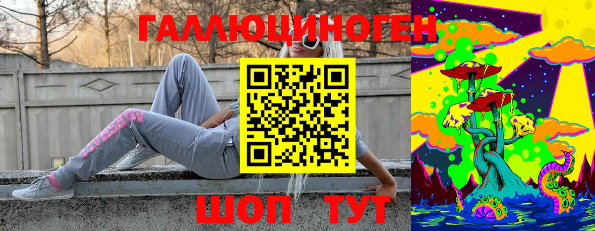 где продают   Вход с VPN  Кимры  Псилоцибиновые грибы GOLDEN TEACHER 