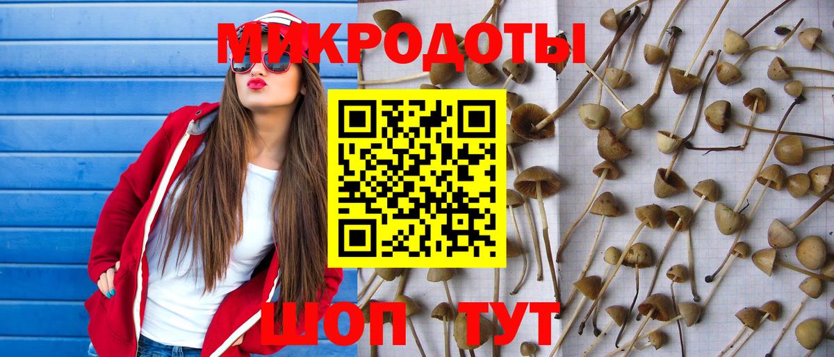 Псилоцибиновые грибы Magic Shrooms Кимры